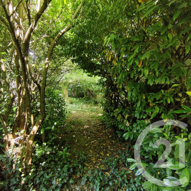 maison à vendre - 9 pièces - 220.0 m2 - ATHIS MONS - 91 - ILE-DE-FRANCE - Century 21 L'Athégienne